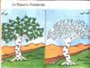click para agrandar imagen
